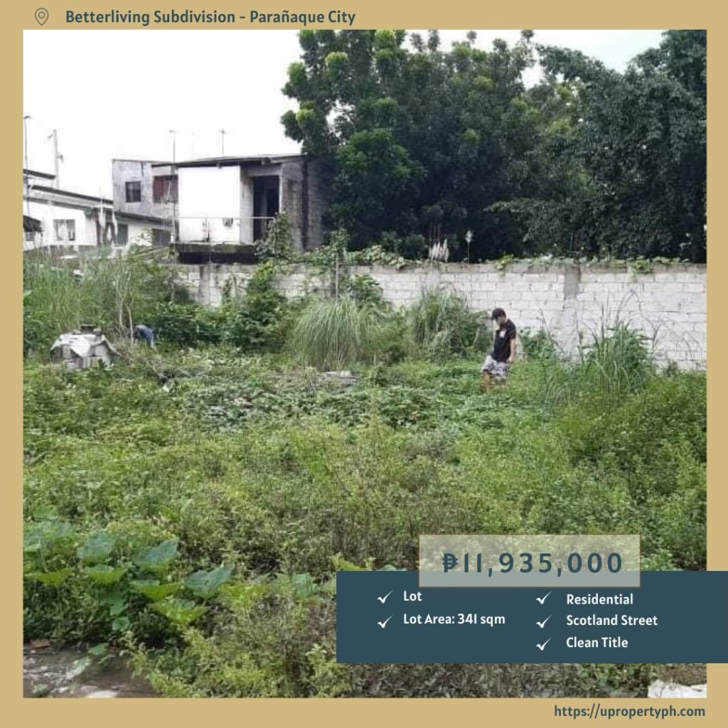 Premium Residential Lot For Sale in Betterliving Subdivision, Don Bosco, Parañaque&nbsp;City