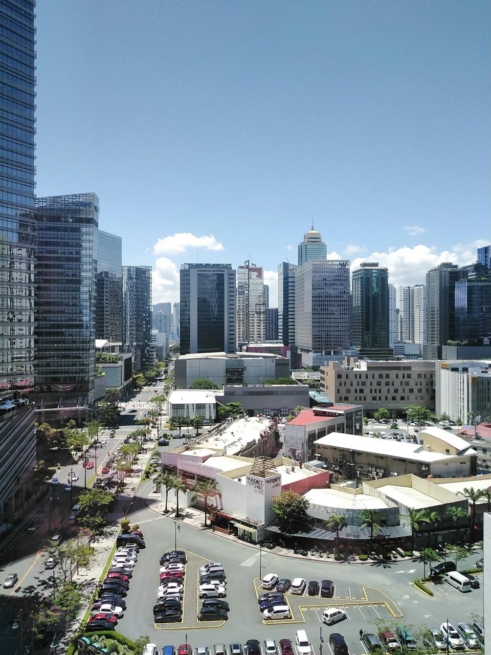 bgc skyline large