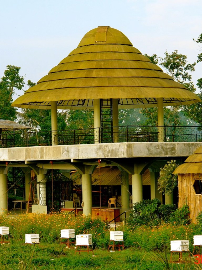 A unique, modern pavilion with a distinctive circular, layered yellow roof, surrounded by greenery and bee hives in an outdoor setting in Silang, Cavite.