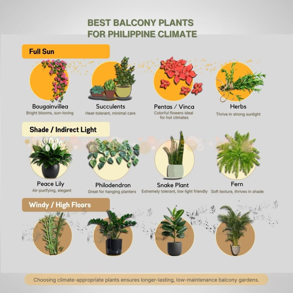 Infographic showing the best balcony plants for Philippine climate, categorized by sunlight requirements: Full sun plants include Bougainvillea, Succulents, Pentas/Vinca, and Herbs; Shade/Indirect light plants include Peace Lily, Philodendron, Snake Plant, and Fern; Windy/High floors plants include Bamboo, Dracaena, and Rubber Plant, emphasizing the importance of climate-appropriate choices for low-maintenance gardens.